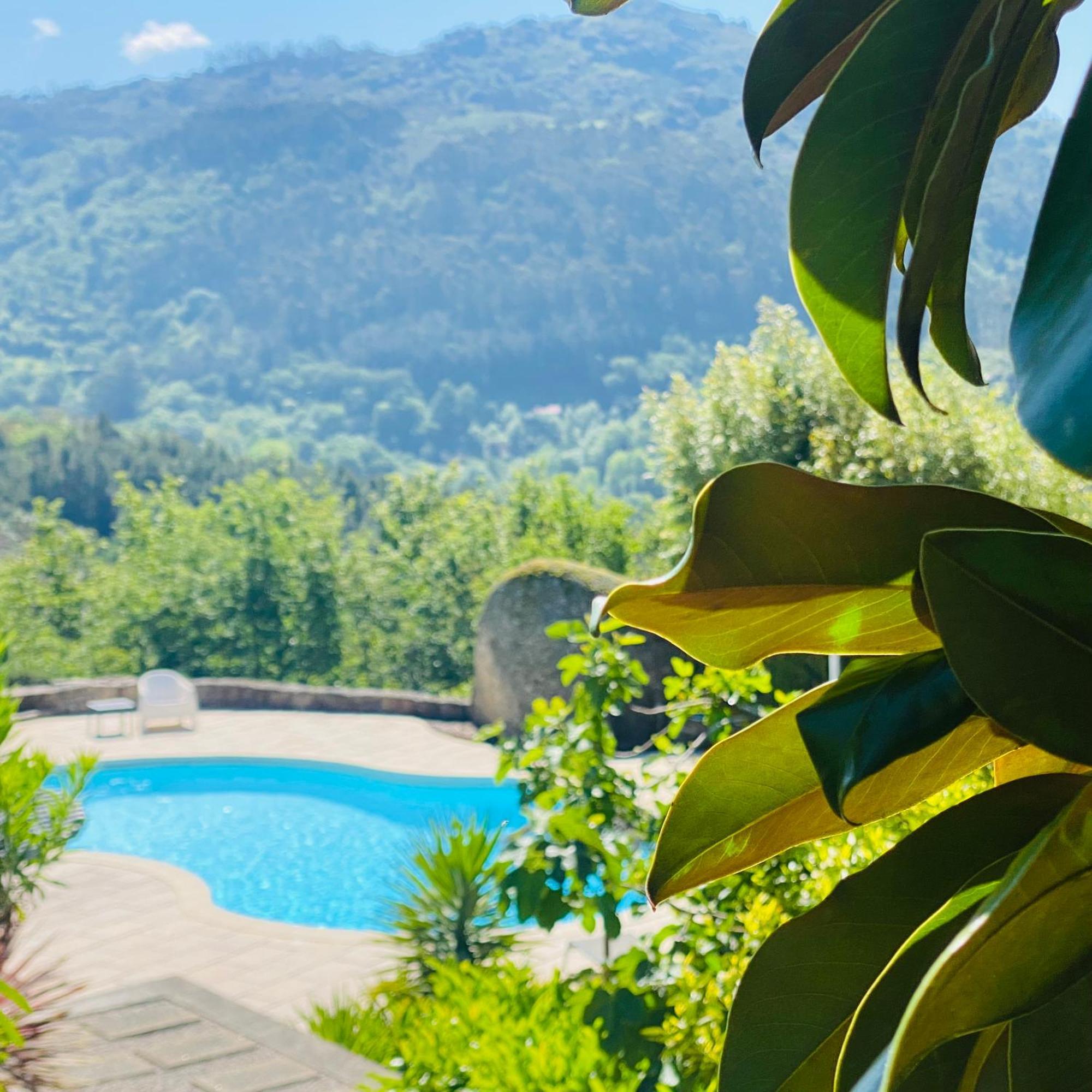 Villa Quinta Cercas Da Costa Vieira do Minho Esterno foto