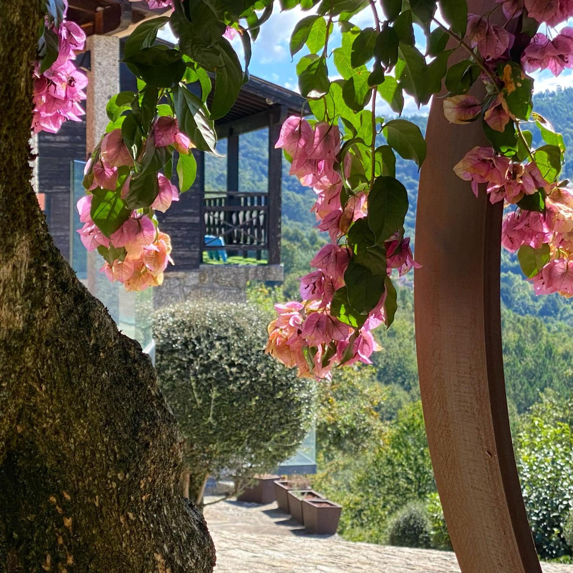 Villa Quinta Cercas Da Costa Vieira do Minho Esterno foto
