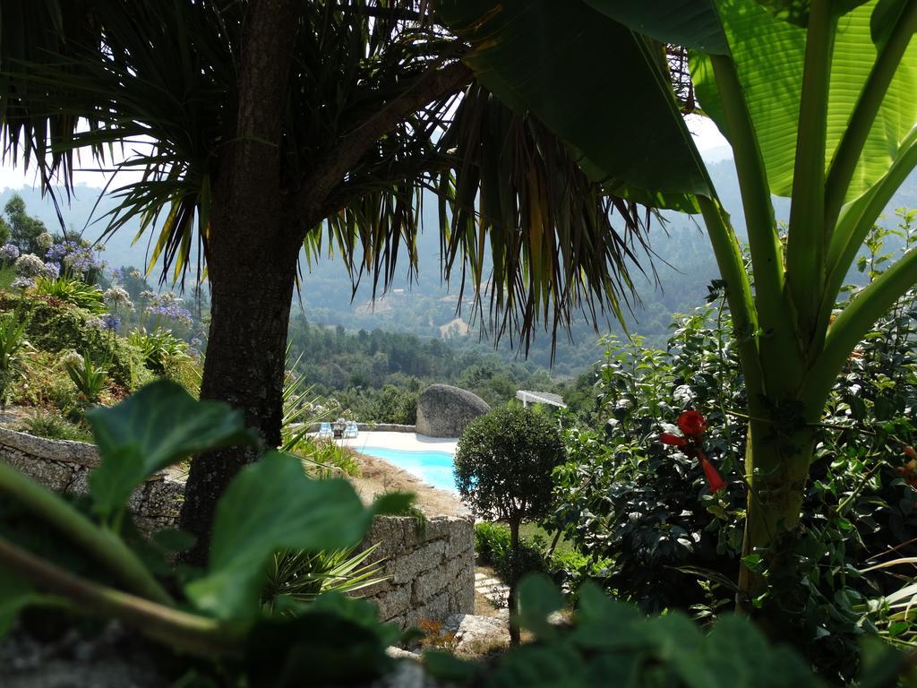 Villa Quinta Cercas Da Costa Vieira do Minho Camera foto